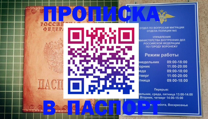 прописка гарантия в Братске